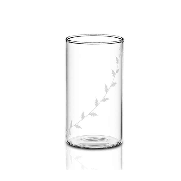 Borosil Vision Glass Set (Set Of 6)