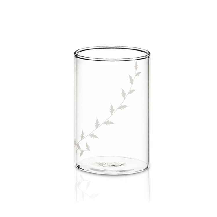 Borosil Vision Glass Set (Set Of 6)