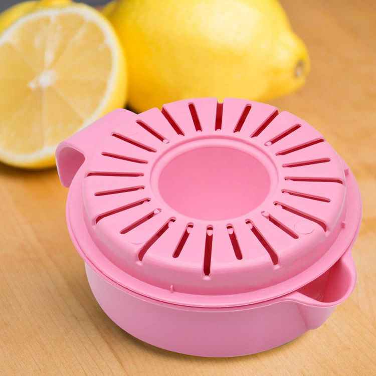 Raj Plastic Orange Juicer