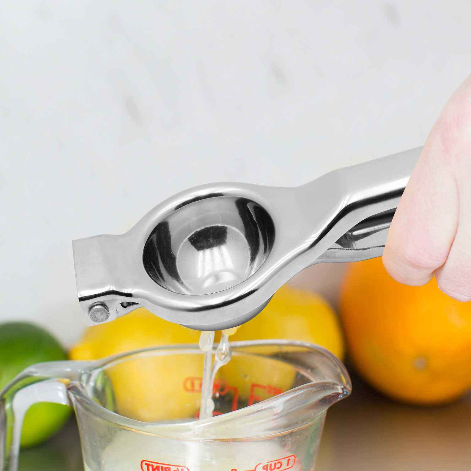 Raj Steel Lemon Squeezer